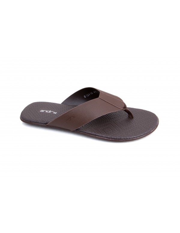 andry LH2908 