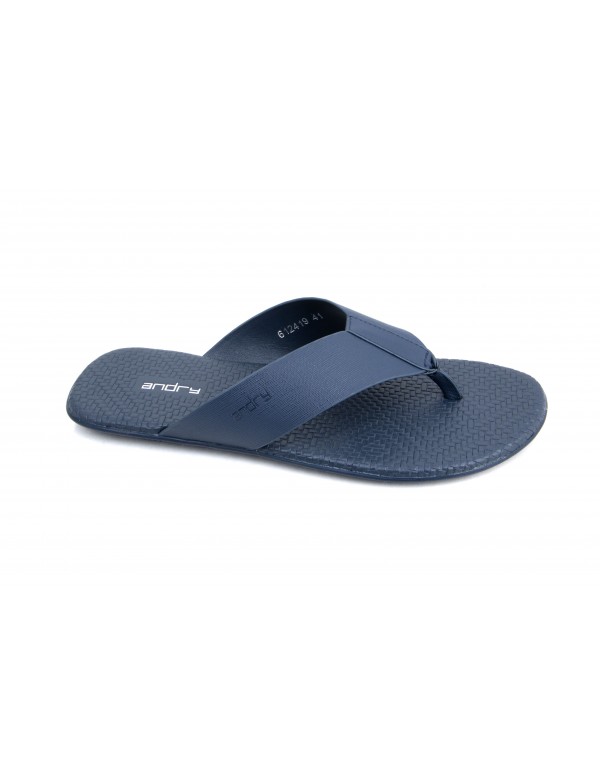 andry LH2909